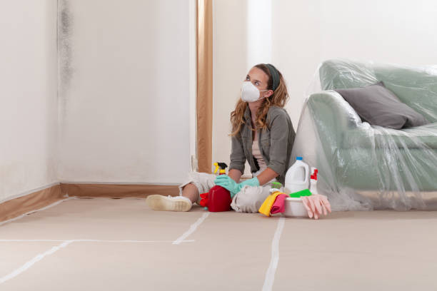 Reliable Mold Remediation contractor in Clifton, NJ by Car Mold Remediation